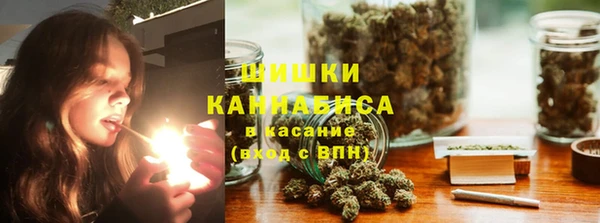 дурь Бронницы