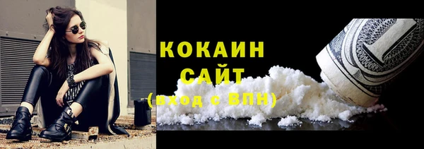 дурь Бронницы