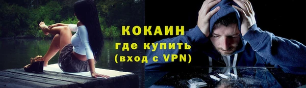 мдпв Бородино