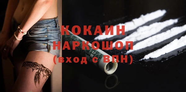 мдпв Бородино