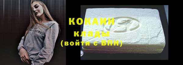 мдпв Бородино