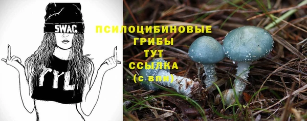 мдпв Бородино