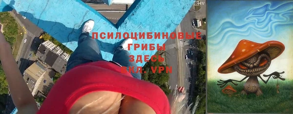 мдпв Бородино