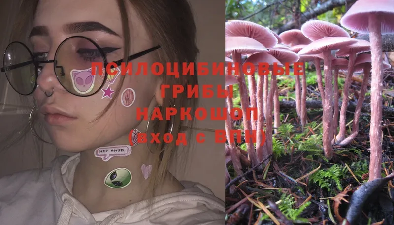 Галлюциногенные грибы Magic Shrooms  Верхотурье 